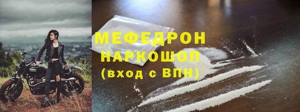 прущие грибы Гвардейск