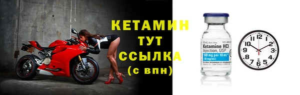 сатива Бородино