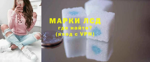 сатива Бородино