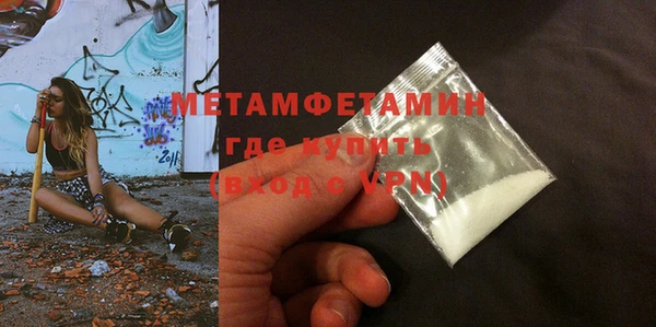 сатива Бородино