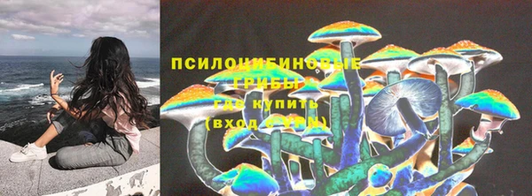сатива Бородино