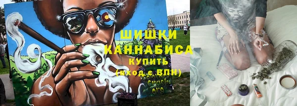 сатива Бородино