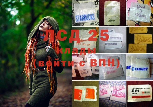 сатива Бородино