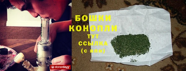 трава Галич