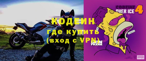 сатива Бородино