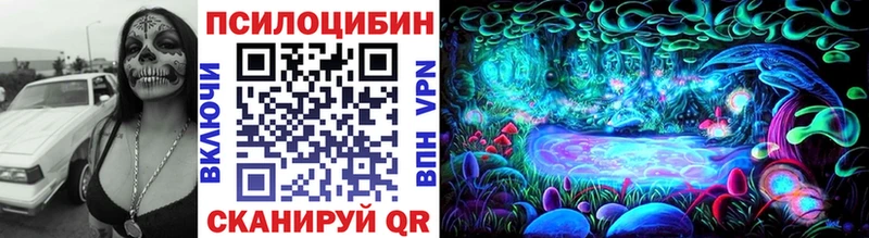 сколько стоит  Высоцк  Псилоцибиновые грибы Cubensis 